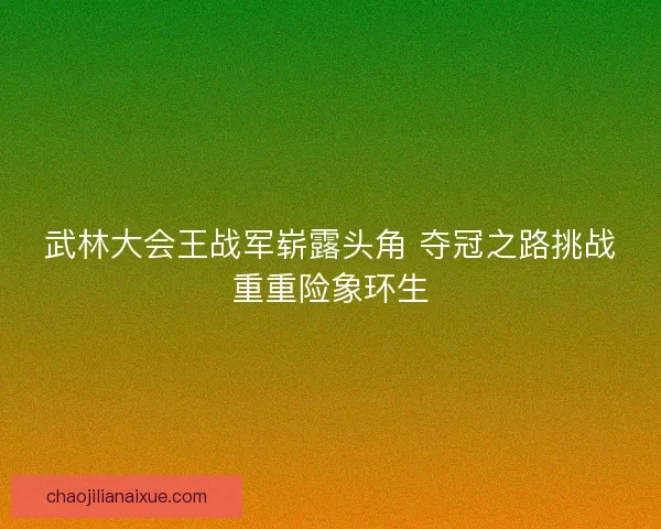 武林大会王战军崭露头角 夺冠之路挑战重重险象环生