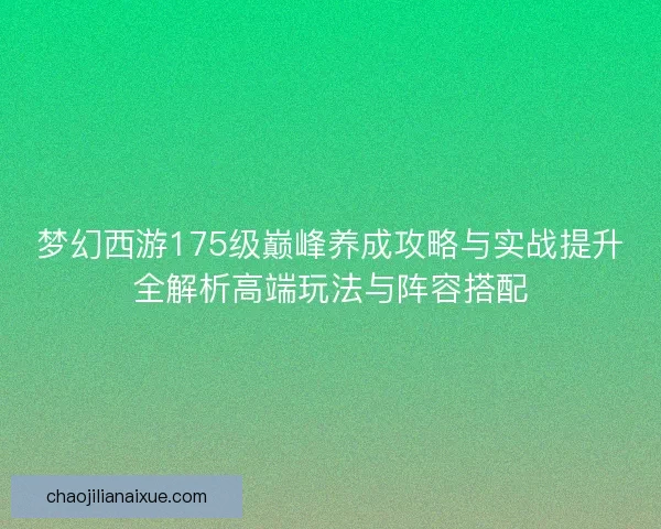 梦幻西游175级巅峰养成攻略与实战提升全解析高端玩法与阵容搭配