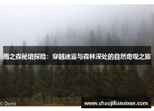 雨之森秘境探险：穿越迷雾与森林深处的自然奇观之旅