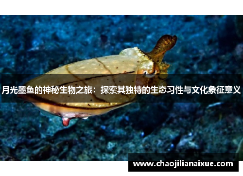 月光墨鱼的神秘生物之旅：探索其独特的生态习性与文化象征意义